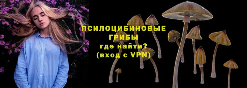 blacksprut ссылка  Семилуки  Галлюциногенные грибы мухоморы 